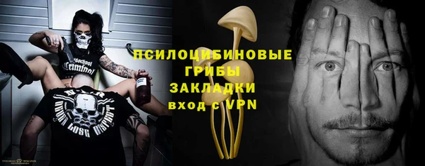 соль ск Новодвинск