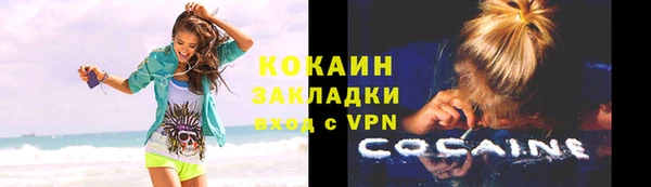 соль ск Новодвинск