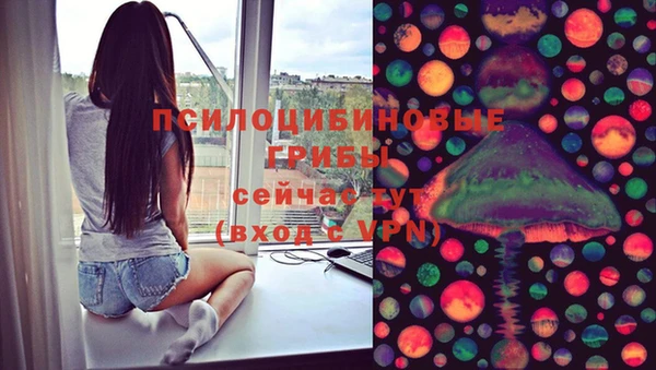 первитин Новозыбков