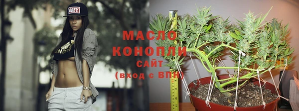 первитин Новозыбков