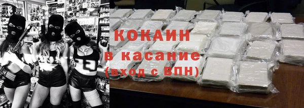 стаф Новокубанск