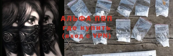соль ск Новодвинск