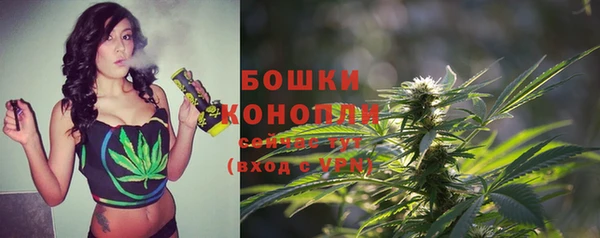 стаф Новокубанск