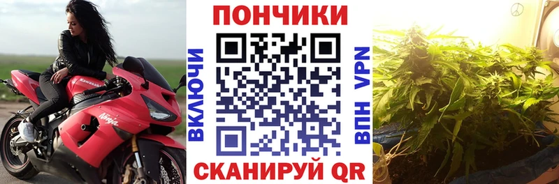 Шишки марихуана OG Kush  Арзамас 